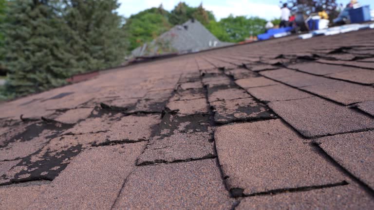 Trusted Flat Rock, NC Roof Repair & Installaion Experts